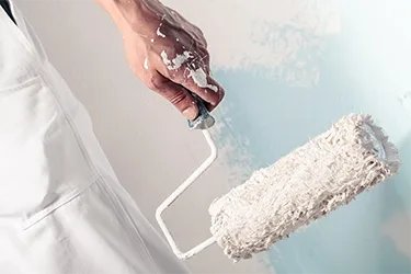 Professional Painter