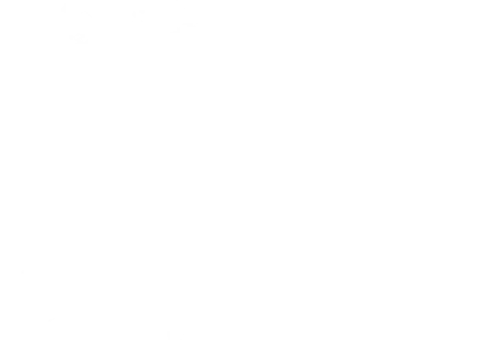 Professional Painter